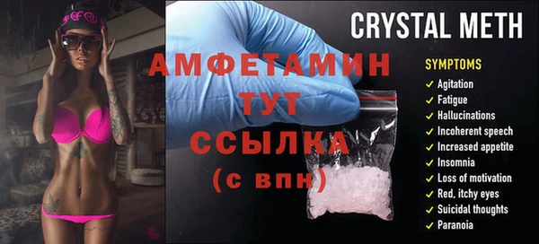 PSILOCYBIN Алзамай