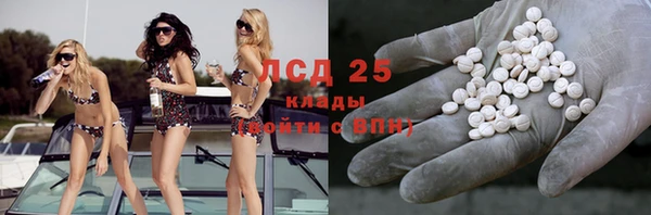стафф Алексин