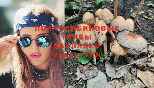 PSILOCYBIN Алзамай