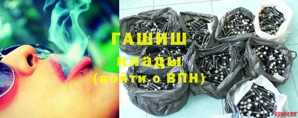 PSILOCYBIN Алзамай