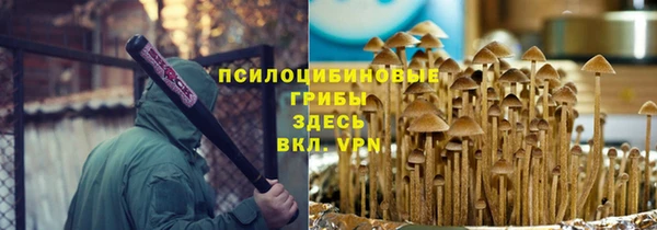 индика Саяногорск