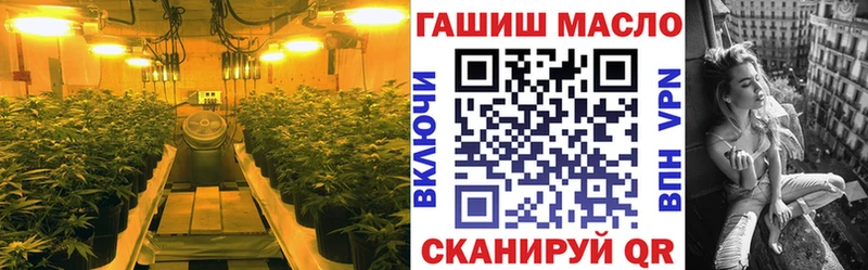 закладки  Нижнеудинск  ТГК жижа 