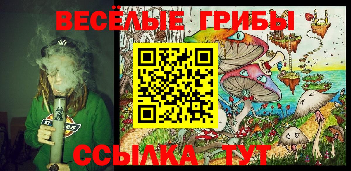 Нижнеудинск  Псилоцибиновые грибы Cubensis  Вход с VPN 